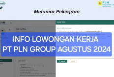 Loker PT PLN Group Bagi Lulusan SMA dan SMK dan D3, Simak Posisi dan Persyaratannya