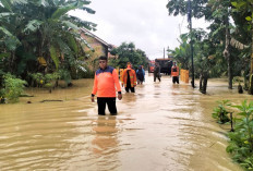 Hujan Deras Semalaman, Puluhan Rumah Terendam, Di Kota Muara Enim, Ketinggian Capai 30-100 cm