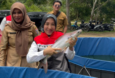 Belida Musi Lestari, Kilang Pertamina Plaju Dukung Kawasan Perikanan Terintegrasi di Sungai Gerong Banyuasin