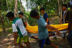 Tragedi Proa Ga***ng Diri di Desa Tanjung Agung Timur Gegerkan Warga, Ditemukan Istri di Kebun Karet