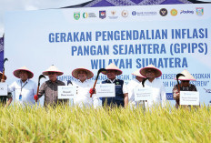 Perkuat Sinergi Pusat dan Daerah