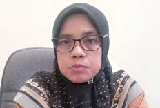 Oknum ASN PPPK Dilaporkan Tipu Bantuan Combine PK, Dinas Pertanian OKU Timur Tegaskan Hal Ini