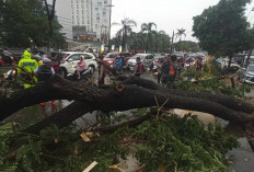 Prakiraan Cuaca Sumsel 3 November 2024: Hujan Petir Melanda Beberapa Daerah, Waspada Angin Kencang