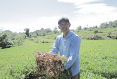 Desa BRILiaN Tompobulu: Ketika Potensi Lokal dan Digitalisasi Menjadi Penggerak Ekonomi Warga