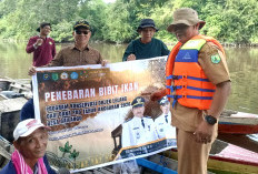  Bantuan UMKM Ikan Salai,  Tanam Cabai Ketahanan Pangan
