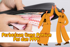 Inilah Perbedaan Uang Pensiun PNS dan PPPK