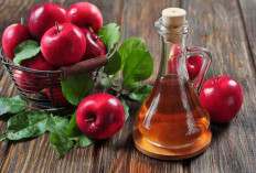 Wajib Tahu, Ini Sederet Manfaat Cuka Apel Bakal untuk Kesehatan