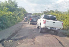 Jalan Provinsi Berlubang, Marak Mobil Terjungkal