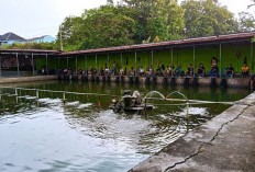 Rekomendasi Lokasi Mancing di Baturaja untuk Hilangkan Suntuk