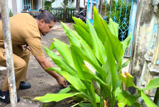 Kembangkan Beragam Tanaman,  Dukung GSMP