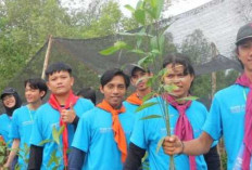 Konservasi Mangrove, Upaya Pelestarian Ekosistem Karbon Biru di Sumatera Selatan
