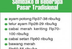 Pedagang Ngaku Dibatasi Beli Ayam, Alasan untuk Jaga Pasokan MBG, Harga Cabai Tembus Rp100 Ribu/kg