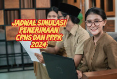 Tahapan Penerimaan CPNS dan PPPK 2024 Beredar, Pendaftaran Mulai 29 Juni, Berikut Simulasinya