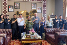 Pemprov Sumsel Gelar Assessment Eliminasi Malaria, Menuju Sumatera Selatan Bebas Malaria 2030