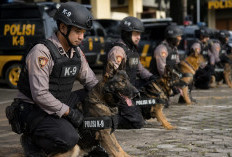 Fakta Mengejutkan Unit K9! Anjing Pelacak Ini Jadi Senjata Rahasia Keamanan Modern