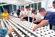 Lapas Narkotika Muara Beliti Libatkan Warga Binaan Budidaya Sawi Hidroponik