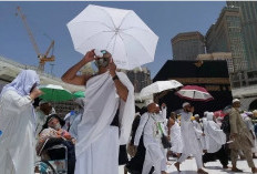 Ini Tips dari Perdokhi agar Jamaah Haji Terhindar dari Heatstroke