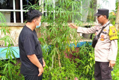 Inginkan Lahan Pekarangan Bernilai Ekonomi, Ini yang Dilakukan Warga