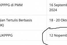 Pengumuman UKPPPG Selasa 12 November, Inilah 2 Poin Penting Penentu Kelulusan