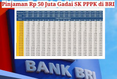 Plafon Pinjaman Bank BRI Syarat SK PNS dan PPPK Lengkap dengan Simulasi Angsurannya