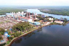 Perdana, Limbah Sawit Jadi Listrik, Kado Spesial PLN untuk HUT Ke-80 RI