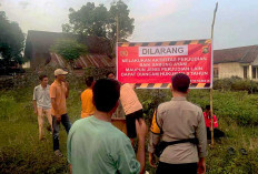 Arena Sabung Ayam Kembali Dibongkar di Pedamaran Timur, Polisi dan Camat Tegaskan Tak Ada Toleransi