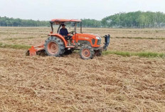 Petani Tetap Gunakan Mesin Air, Basahi Lahan Pertanian   