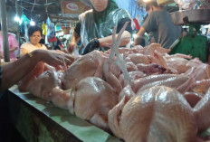 Usai Idul Adha Harga Ayam Meroket Jadi Rp35.000 Pasar Palimo Sepi Mendadak Tak Terduga