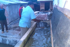 Gubernur Herman Deru Gaungkan Gerakan Sumsel Mandiri Pangan, Hidupkan Kearifan Lokal