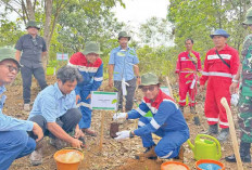 Pertamina EP Tanam 1.250 Pohon di Jalur Gajah Sumatera, Dukung Konservasi dan Tekan Emisi Karbon