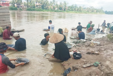 Ratusan Warga Muratara Berburu Emas di Aliran Sungai, Kelestarian Alam Terancam