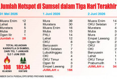 Hotspot Sumsel Sentuh 166 Titik, 108 Kejadian Karhutla, Lapisan Atas Permukaan Tanah Sangat Mudah Terbakar  