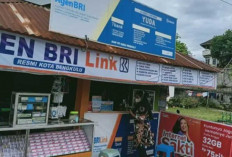 Ini dia beberapa Fasilitas  dan Biaya Layanan BRI Link