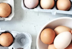 3 Cara Mudah Memilih Telur Berkualitas Sebelum Dimasak, CobaIn Yuk!