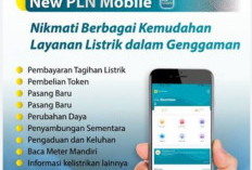 Tambah Daya Gunakan PLN Mobile, Dapat Keringanan Rp2 Juta. Batas Waktu 31 Agustus