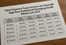 Tabel Pinjaman Tanpa Jaminan dari Bank BRI Bagi Guru Profesional Pemegang Serdik Dibuka Juni 2025