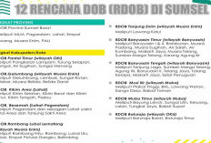 Banyak Wacana Syarat Belum Lengkap, Rencana Pemekaran 1 Provinsi dan 11 Kabupaten Baru di Sumsel