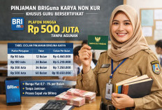 TPG Cair Bulanan, Bank BRI Buka Pinjaman Khusus Guru Serdik Non KUR Tanpa Jaminan