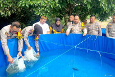 Dukung Asta Cita, Tebar 7.500 Bibit Ikan dada Dua Lokasi di Prabumulih