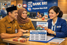 Pinjaman Non KUR BRI Februari 2026 Makin Dilirik, Tawarkan Skema Fleksibel dan Bunga Kompetitif