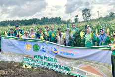 Dorong Inovasi Pertanian Berbasis Kampus 