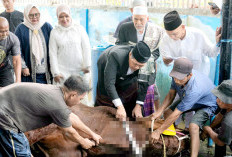 Bukan Sekadar Kurban, tapi Momen Kebersamaan