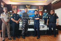 Lanal Palembang Gagalkan Penyelundupan 125 Ribu Benih Lobster, Selamatkan Potensi Kerugian Negara Rp18 Miliar