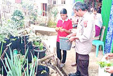 Polsek Semendo Dampingi Warga Desa Batu Surau Tanam Cabai dan Daun Bawang Dukung Ketahanan Pangan