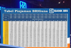 Tahun Baru 2025, Bank BRI Tawarkan Pinjaman Bagi Guru PNS dan PPPK, Bisa Pinjam Ratusan Juta, Cicilan Rendah