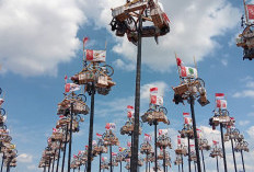 5 Agenda Besar HUT RI 2025 di Sumsel, Panjat Pinang Sumeks Paling Heboh!