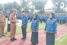 Minta P3K Kuasai Teknologi, Jangan Minta Pindah Tugas 