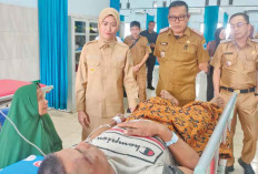 Pimpin Apel hingga sidak RSUD