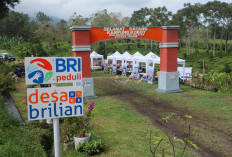 BRI Raih Dua Penghargaan Internasional, Komitmen CSR Diakui Dunia