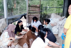 Perkuat Pasokan Pangan Lokal